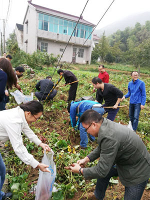 大家体验农家劳作的快乐